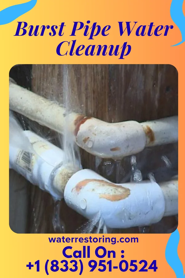 Burst Pipe Water Cleanup in Pierce City, MO