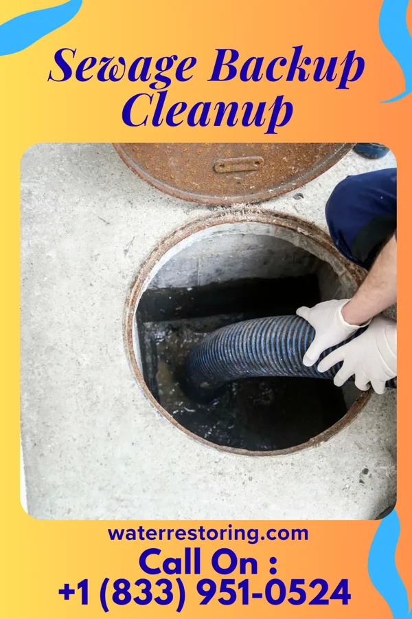 Sewage Backup Cleanup in Pierce City, MO