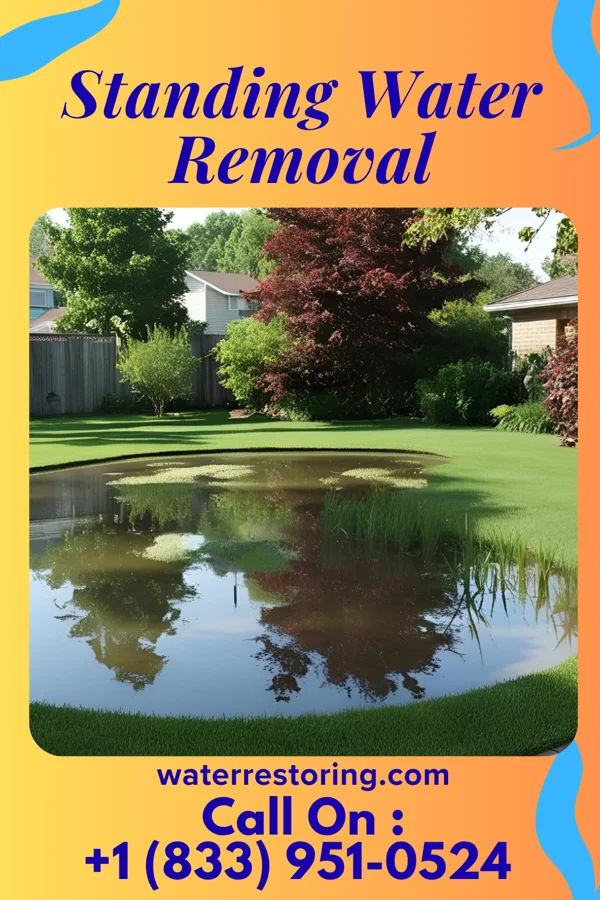 Standing Water Removal in Pierce City, MO